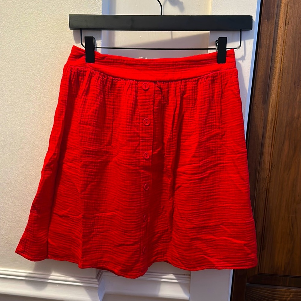 Anthropologie skirt